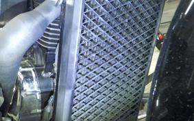 SUZUKI INTRUDER 400 Classic 2006 VK54A