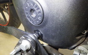 OTHER +ENFIELD ﾒﾃｵ350 2022