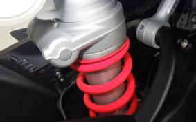 BMW S1000R M PACKAGE 2021