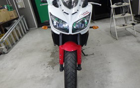 YAMAHA FZ1 FAZER 2009 RN21J
