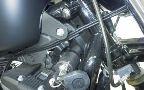 HARLEY XL883N 2017