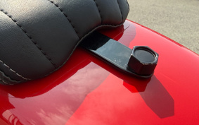 HARLEY FXBBS 2024 YYK