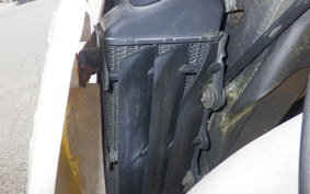 SUZUKI RMX250 S SJ13A