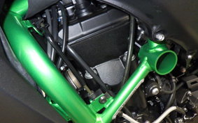 KAWASAKI ZH2 SE 2025