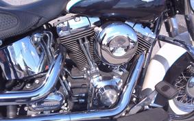 HARLEY HARLEY FLSTN1340-1450 2012 JD5