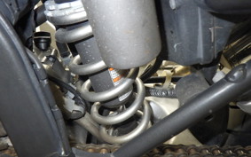 KAWASAKI KLX250D TRACKER X 2023 LX250V