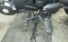 HONDA CL250-2 2024 MC57