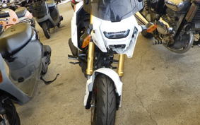 HONDA ｸﾞﾛﾑ 2023 JC75