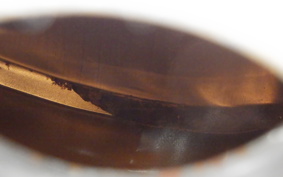 HONDA CBX400F 1982 NC07