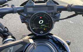 HARLEY RH975S NIGHT STAR 2024 ZF1