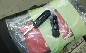BENELLI レオンチーノ250