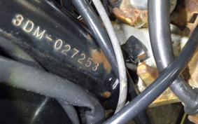 YAMAHA VIRAGO 250 3DM