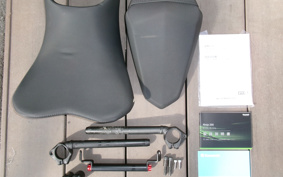 KAWASAKI Ninja 250 ABS EX250P