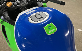 KAWASAKI NINJA ZX-4RR 40TH ANNIVER  2024 ZX400P