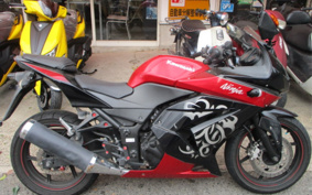 KAWASAKI NINJA 250R EX250K