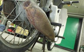 HONDA C65 SUPER CUB 2014 C65