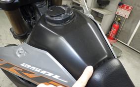HONDA CRF250L MD47
