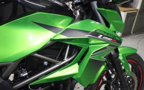 KAWASAKI Z250 SL 2002 BR250E