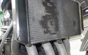 KAWASAKI Z900RS CAFE 2019 ZR900C