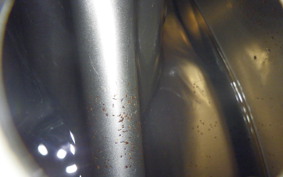 HONDA TL50 2024 TL50