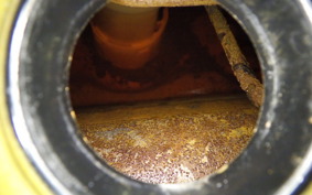 TRIUMPH DAYTONA 675 SE 2013