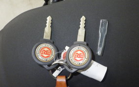 OTHER +ENFIELD ﾋﾏﾗﾔﾝ 2024