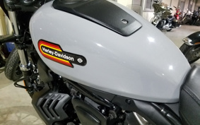 HARLEY RH975S NIGHT STAR 2024 ZF1