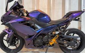 KAWASAKI NINJA 250 EX250P