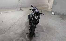 YAMAHA MT-25 RG43J