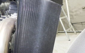 TRIUMPH SPEED400 2024