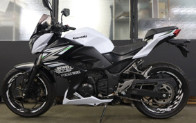 KAWASAKI Z250 ER250C