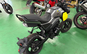 OTHER CFMOTO XO-2 PAPIO