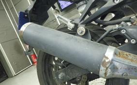 KAWASAKI NINJA 250R EX250K