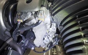 KAWASAKI W800 STREET 2022 EJ800E