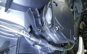 TRIUMPH TRIDENT 660 2021