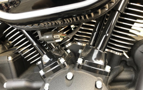 HARLEY FXBBS 2021 YYK