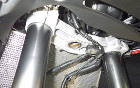 KAWASAKI NINJA 1000SX 2022 ZXT02K