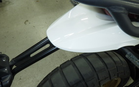 DUCATI DUCATI SCRAMBLERデザートス 2019