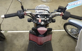 HONDA ZOOMER-X