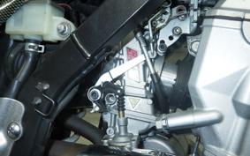 KAWASAKI KLX250 1994 LX250E