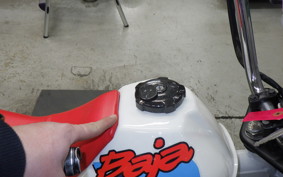 HONDA MONKEY BAJA 2024 Z50J