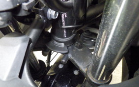 KAWASAKI NINJA 250 2020 EX250L