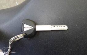 KAWASAKI ZX-4RR 2024 ZX400P