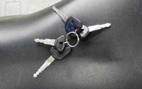 KAWASAKI NINJA 250 EX250L