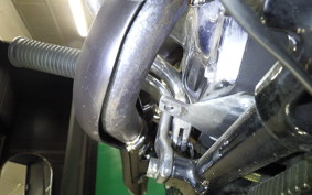 HARLEY FXDL 1580 2013