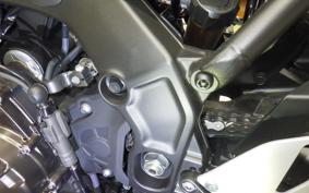 YAMAHA XSR900 2025 RN96J