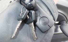 YAMAHA TRICITY 300 2021 SH15J