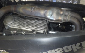 KAWASAKI NINJA 250 EX250L