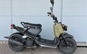 HONDA ZUMAR AF58
