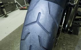 HARLEY FLTRXSE1920CVO 2021